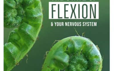 Flexion state & the nervous system