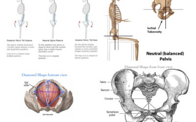 Ribcage & Pelvis Resonance