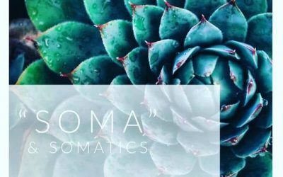 Soma, Somatics & Embodiment