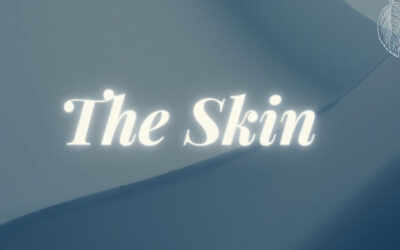 The Skin